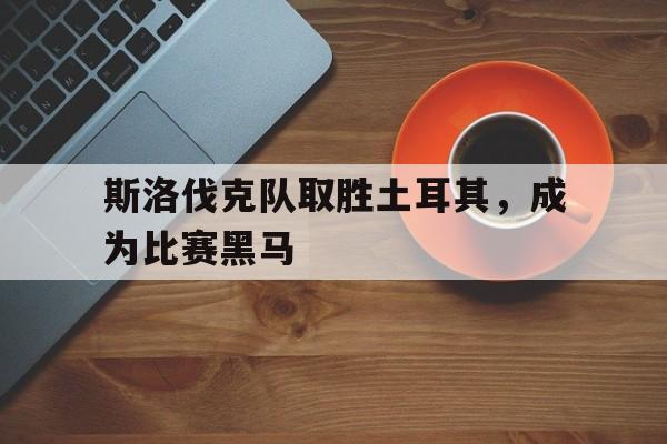 平博-斯洛伐克队取胜土耳其，成为比赛黑马